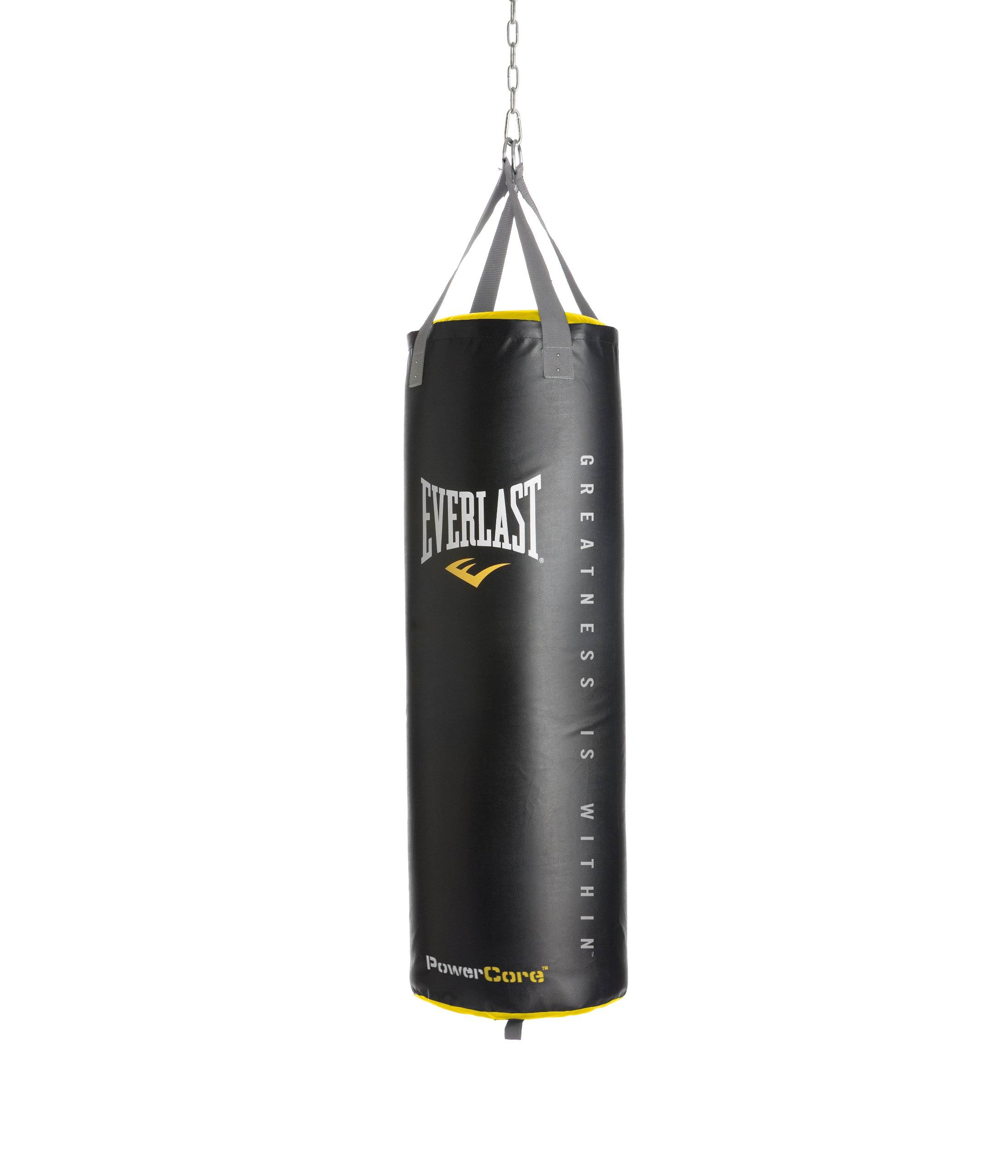 Everlast Powercore 80-lb. Nevatear Heavy Bag