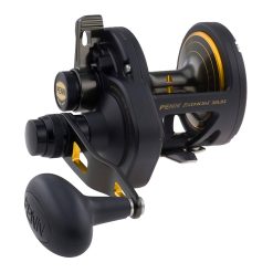 Penn Fathom Lever Drag 2 Speed Reel