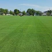 Outsidepride Arden 15 Bermuda Grass Seed – 25 lbs
