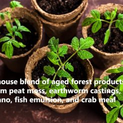 Alternative view of FoxFarm Ocean Forest Potting Soil Mix Indoor Outdoor for Garden and Plants | Plant Fertilizer | 12 Quarts (4 Pack) | The Hydroponic City Stake