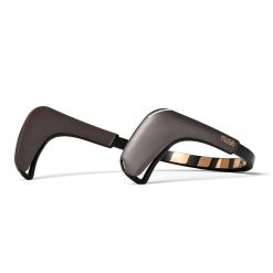 Muse 2: The Brain Sensing Headband