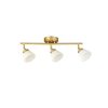 Allen + Roth Dallas 3-Light 23.25-in New Soft Gold Dimmable Track Bar Fixed Track Light Kit